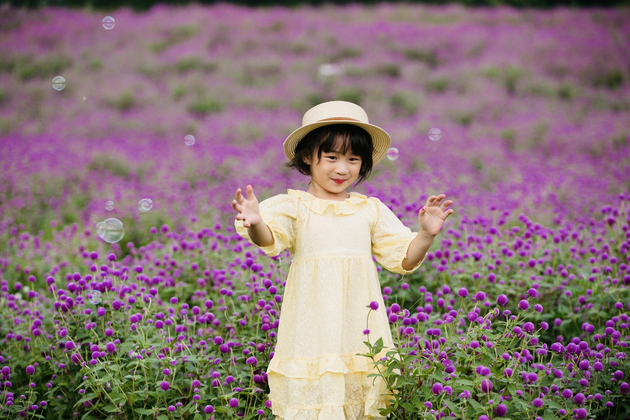 Mãn nhãn với hình ảnh siêu yêu của những bé gái trên cánh đồng hoa bách nhật 