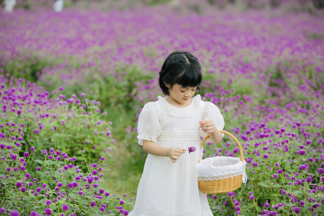 Mãn nhãn với hình ảnh siêu yêu của những bé gái trên cánh đồng hoa bách nhật 