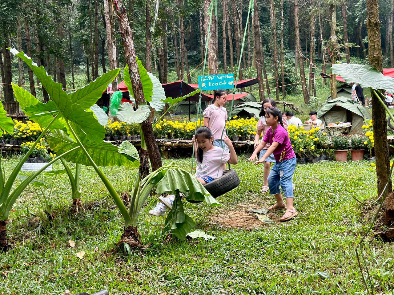 Du khách đổ về Medi Thiên Sơn chiêm ngưỡng Lễ hội hoa cúc