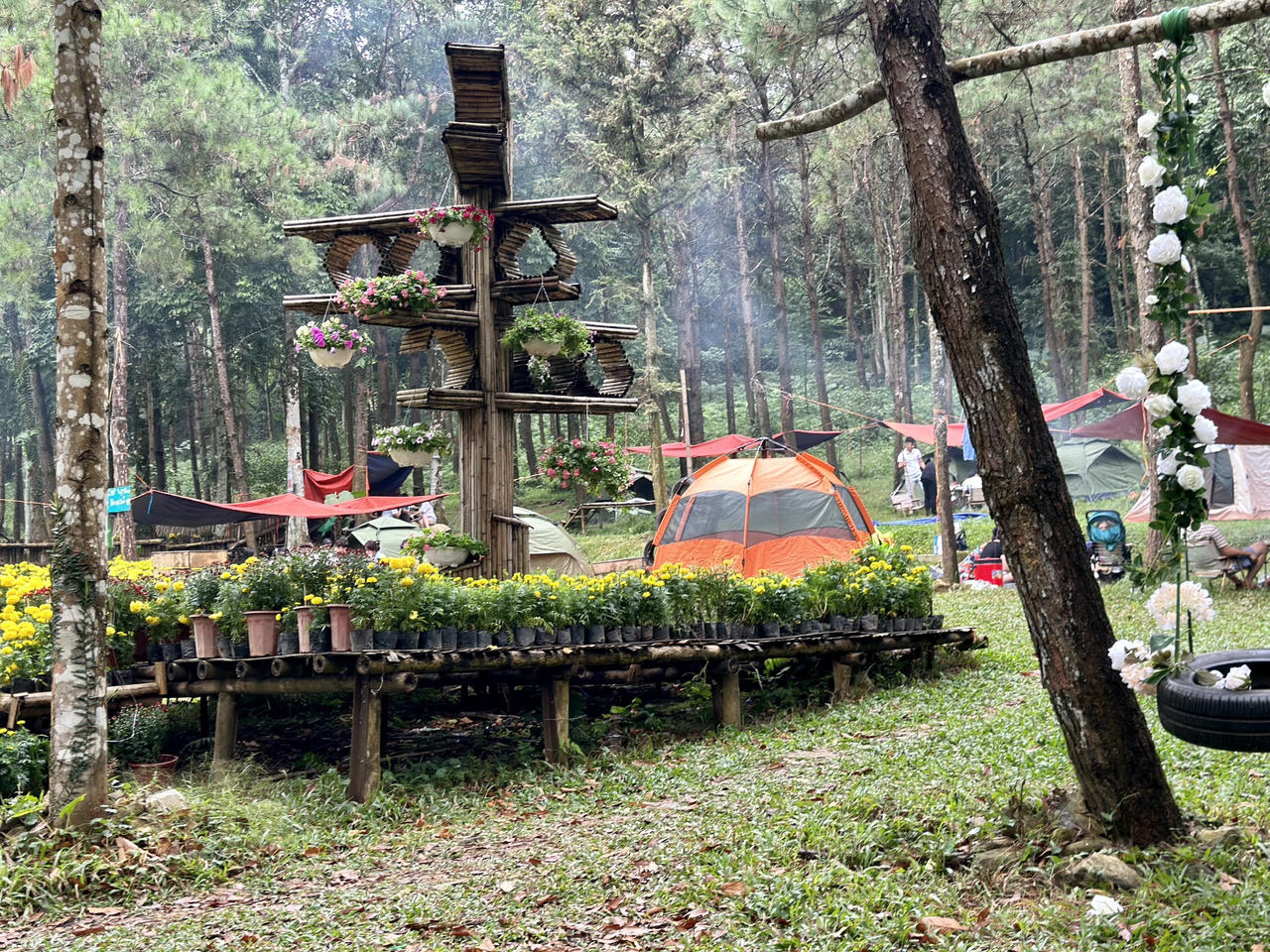 Du khách đổ về Medi Thiên Sơn chiêm ngưỡng Lễ hội hoa cúc