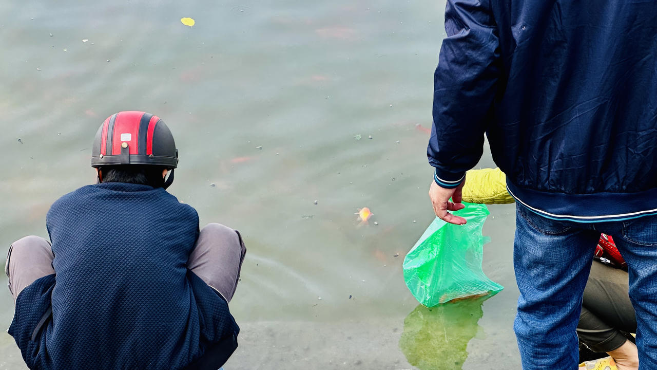 Cá chép tiễn ông Táo 'lên xe cảnh sát' Hà Nội ra sông Hồng 