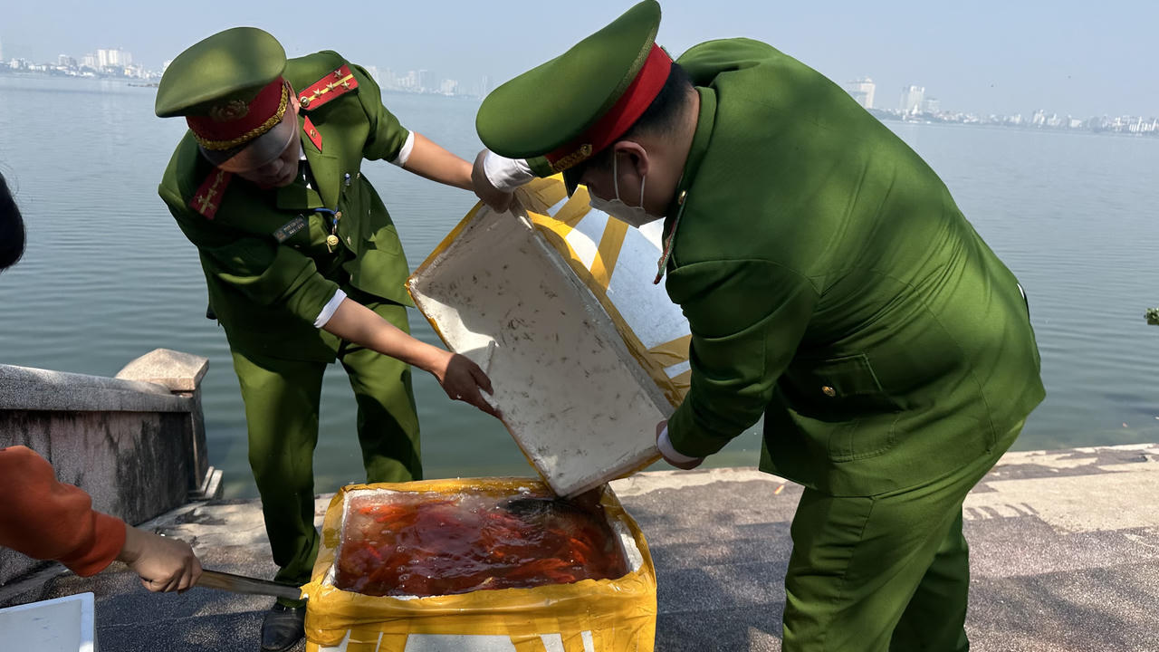 Cá chép tiễn ông Táo 'lên xe cảnh sát' Hà Nội ra sông Hồng 