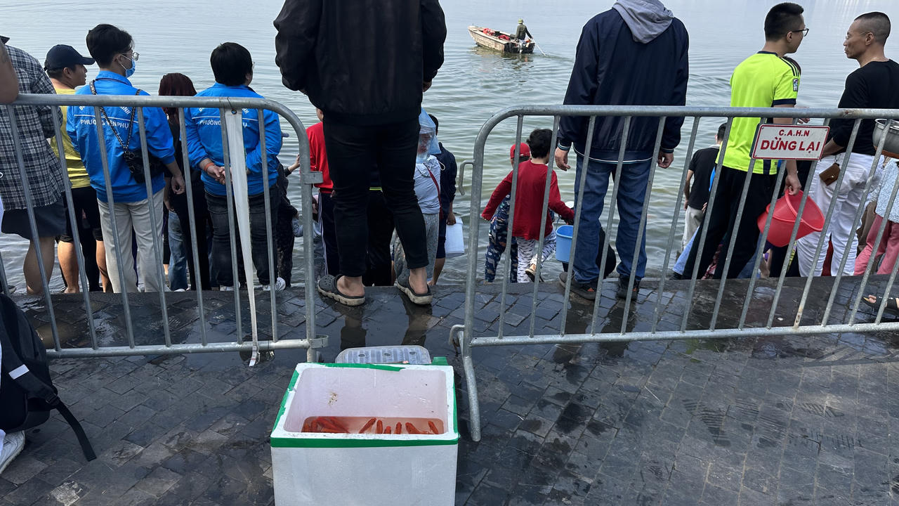 Cá chép tiễn ông Táo 'lên xe cảnh sát' Hà Nội ra sông Hồng 