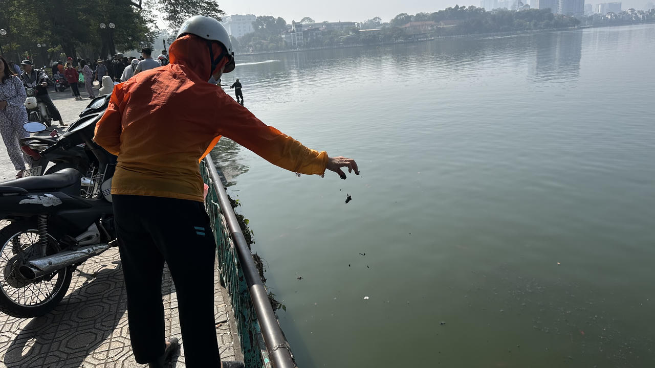 Cá chép tiễn ông Táo 'lên xe cảnh sát' Hà Nội ra sông Hồng 