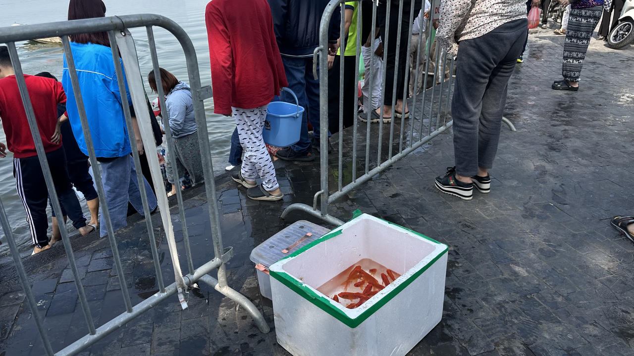 Cá chép tiễn ông Táo 'lên xe cảnh sát' Hà Nội ra sông Hồng 