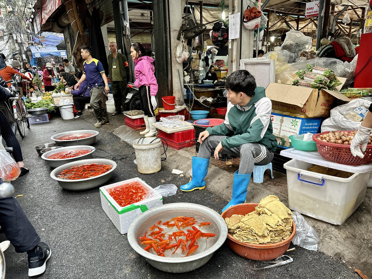 Ngày tiễn ông Công ông Táo, tiểu thương nhiều chợ Hà Nội ế cá chép