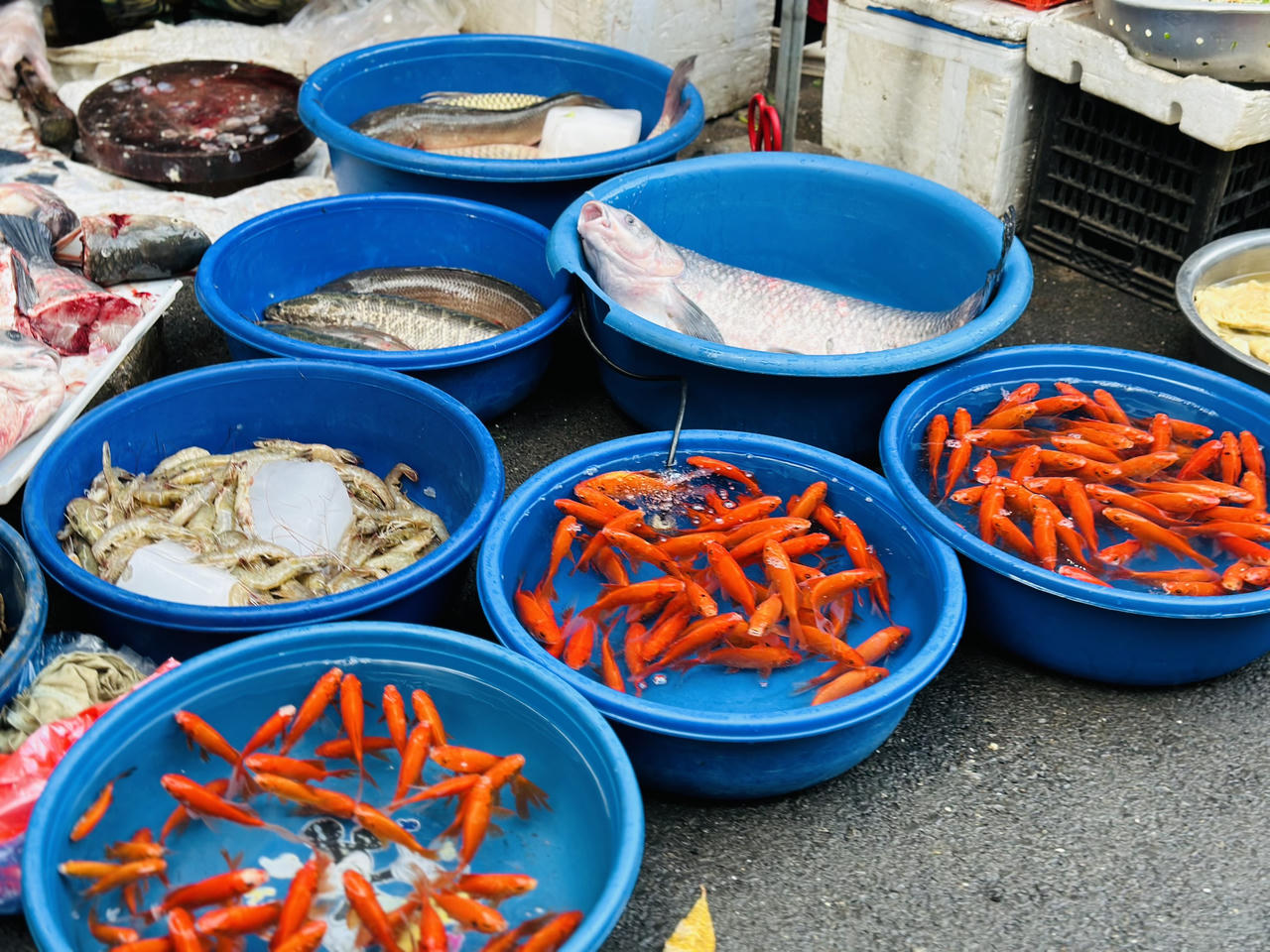 Ngày tiễn ông Công ông Táo, tiểu thương nhiều chợ Hà Nội ế cá chép