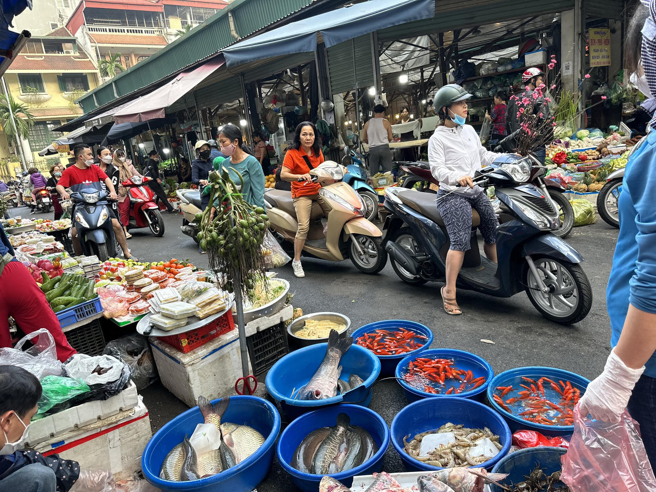 Ngày tiễn ông Công ông Táo, tiểu thương nhiều chợ Hà Nội ế cá chép