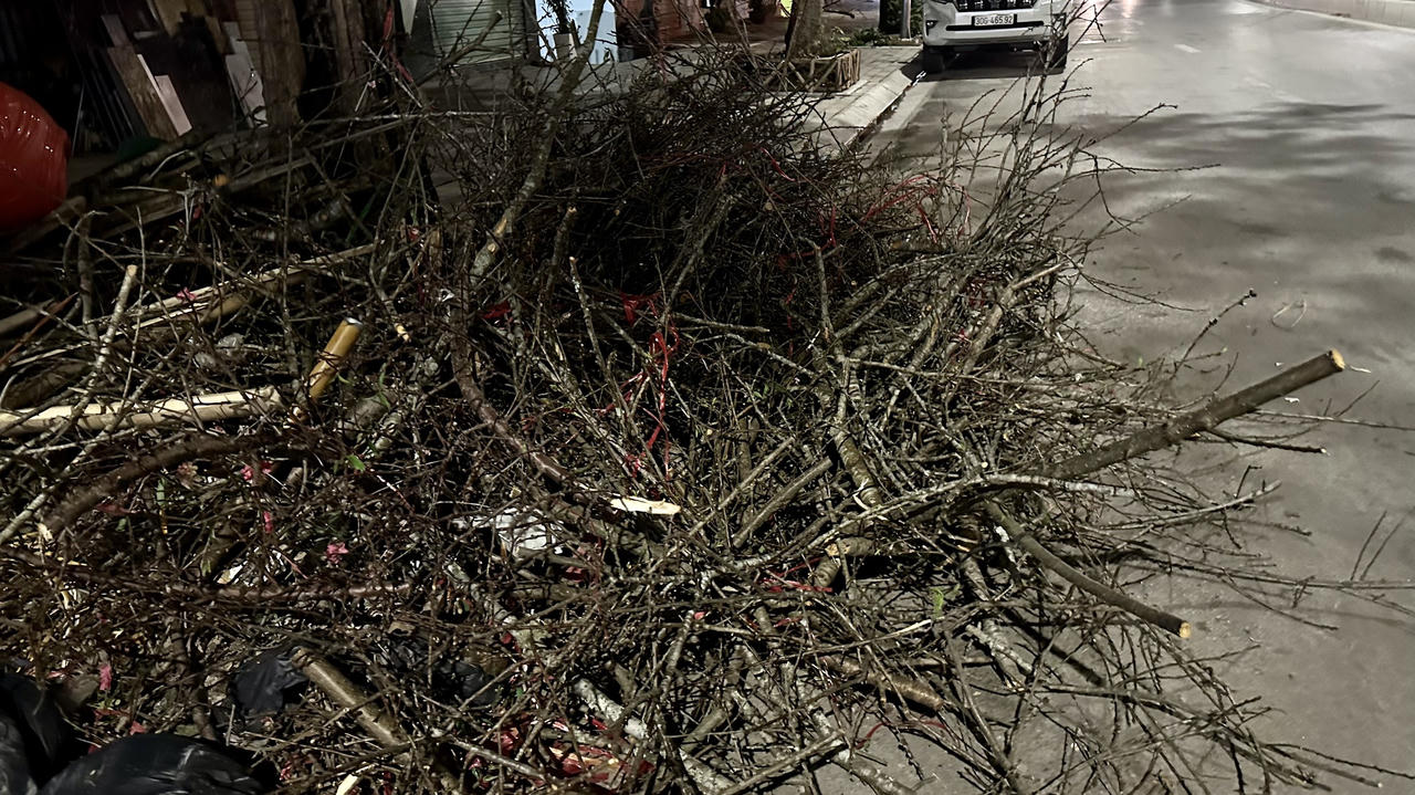 Chiều 30 Tết, đào 'ế' chặt chất thành đống bên đường phố Hà Nội 