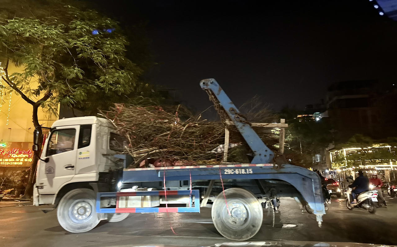 Chiều 30 Tết, đào 'ế' chặt chất thành đống bên đường phố Hà Nội 