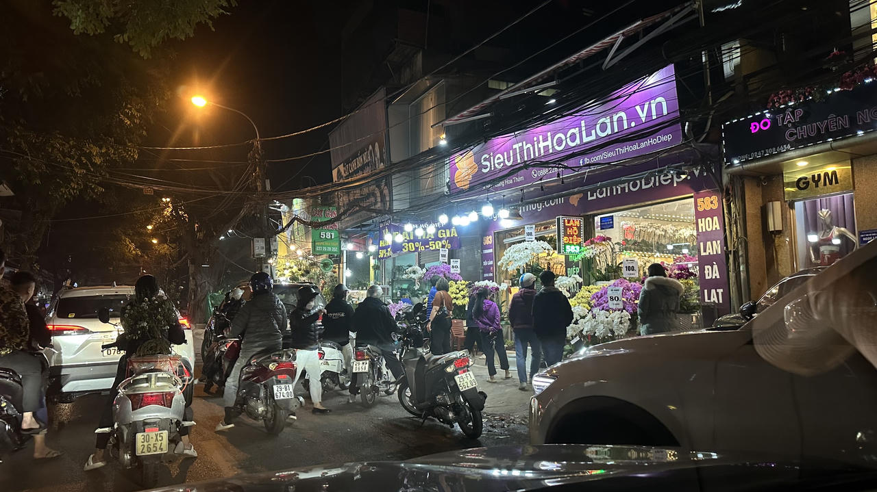 Chiều 30 Tết, đào 'ế' chặt chất thành đống bên đường phố Hà Nội 