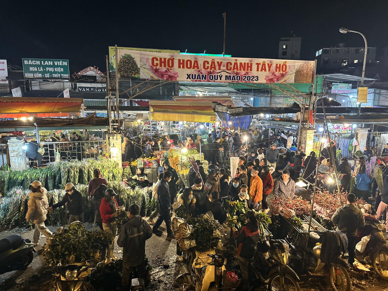 Chiều 30 Tết, đào 'ế' chặt chất thành đống bên đường phố Hà Nội 