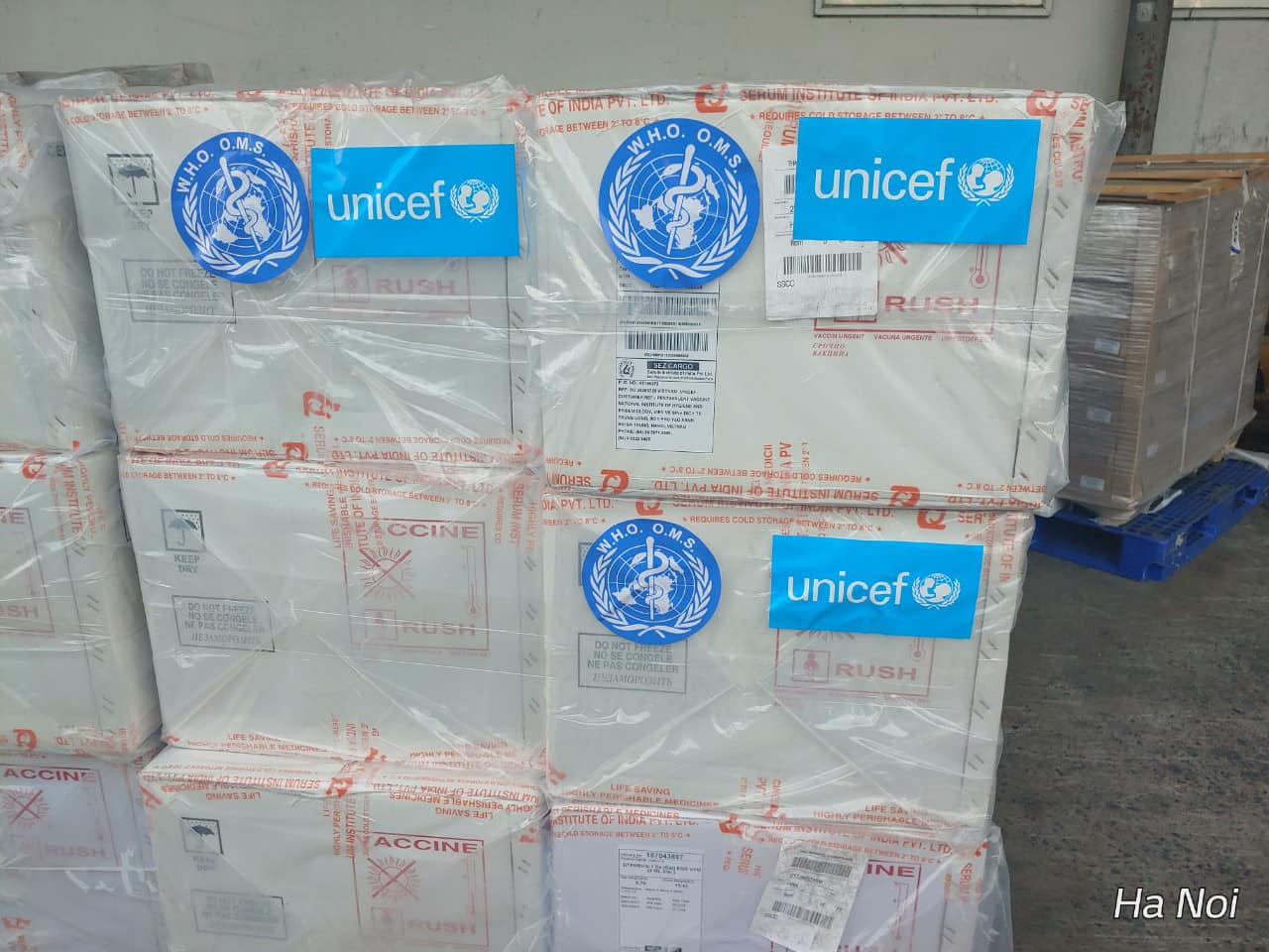 Tiếp nhận 185.700 liều vắc xin 5 trong 1 từ viện trợ của WHO, UNICEF 
