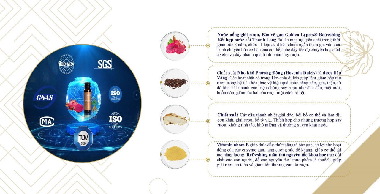 Nước uống tái tạo năng lượng, tăng cường miễn dịch, bảo vệ gan Golden Lypres® Refreshing cho sức khỏe vàng