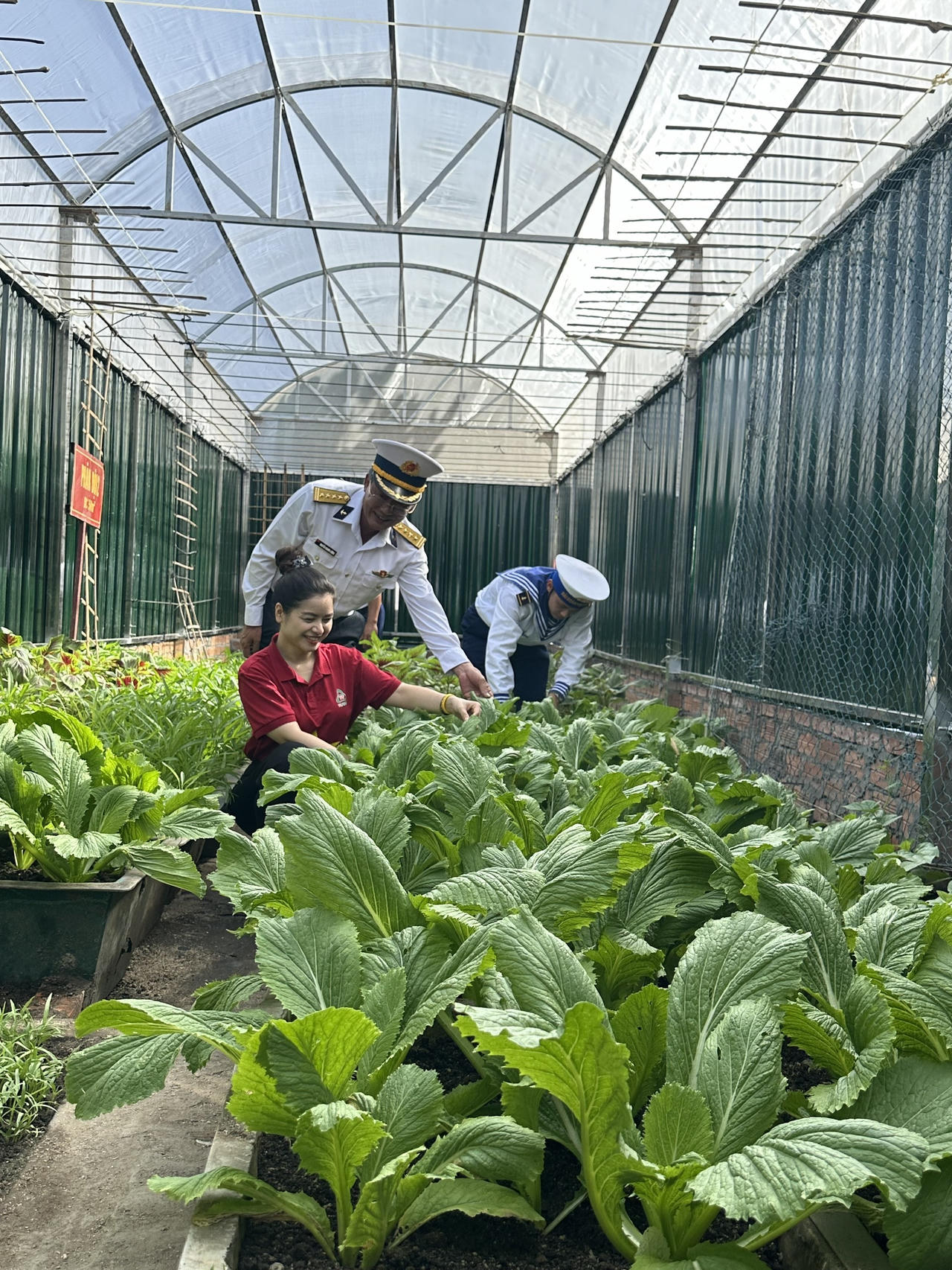 Dược phẩm TV.PHARM tiên phong góp 1,5 tỉ đồng phát triển ‘vườn rau xanh chiến sĩ’ đảo Trường Sa