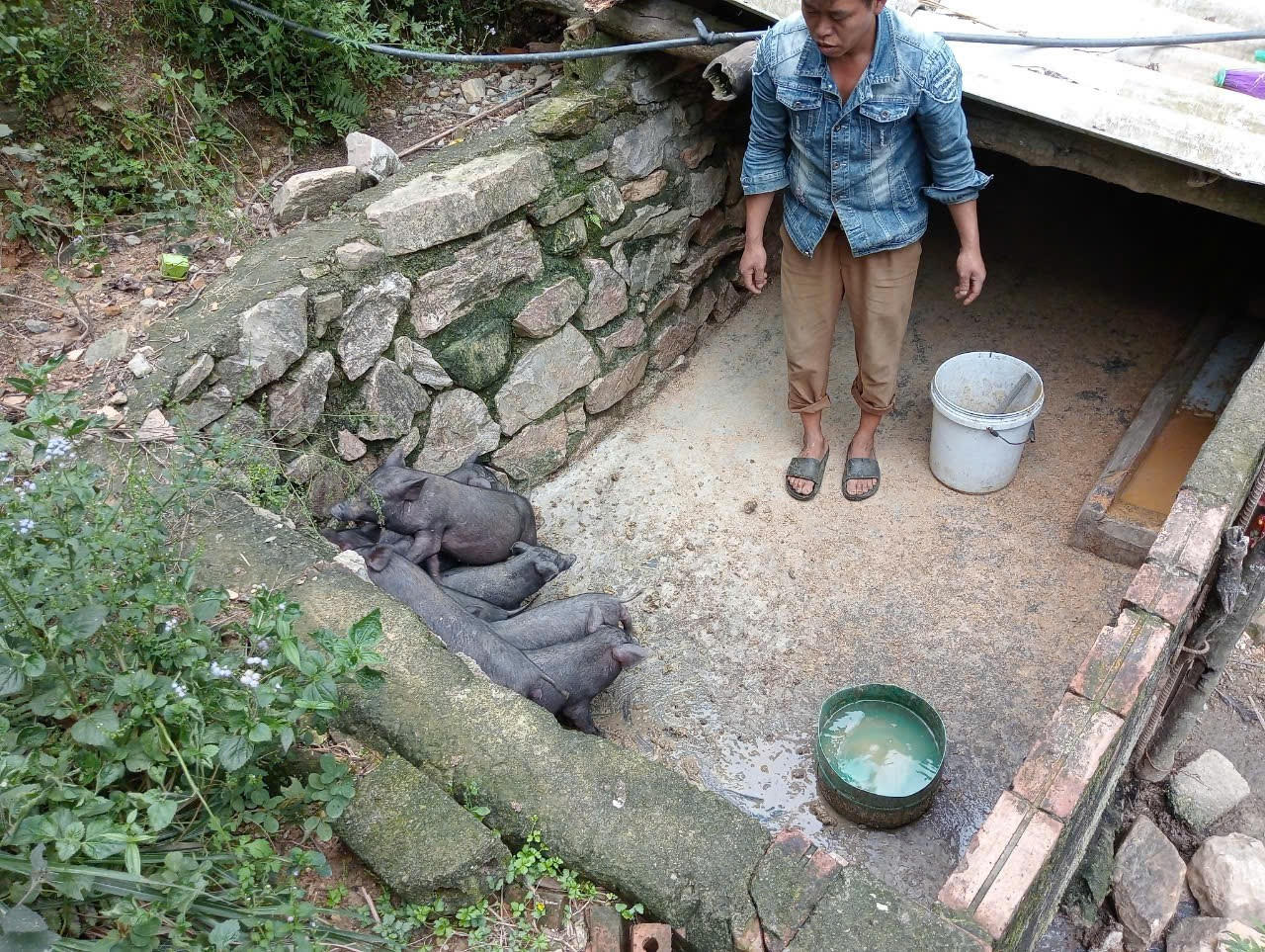 Xây dựng, phát triển Đảng ở vùng đồng bào dân tộc thiểu số hiện nay - Bài 4: Muốn 'gỡ khó' phải thực hiện các giải pháp đồng bộ