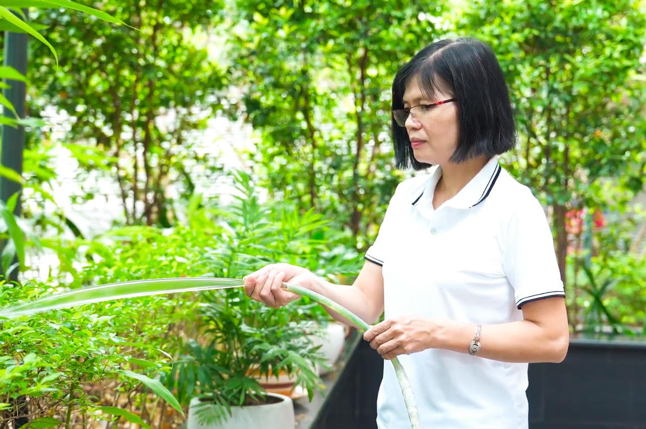 Kỳ tích ổn định đường huyết: Câu chuyện có thật của cô Hoa, Thái Nguyên