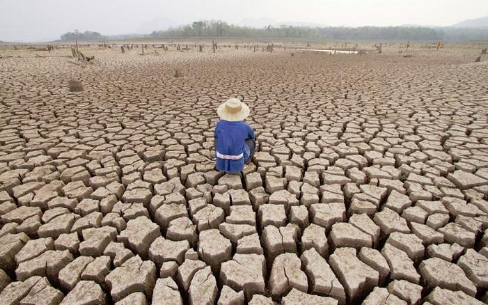 Trao quyền cho thanh niên thực hiện 'lời hứa' với khí hậu