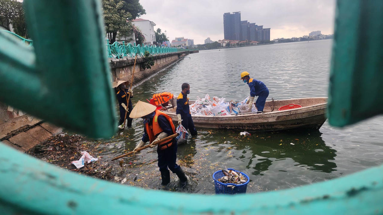 Cần có phương án xử lý hiện tượng cá chết bất thường trên hồ Tây (Hà Nội)