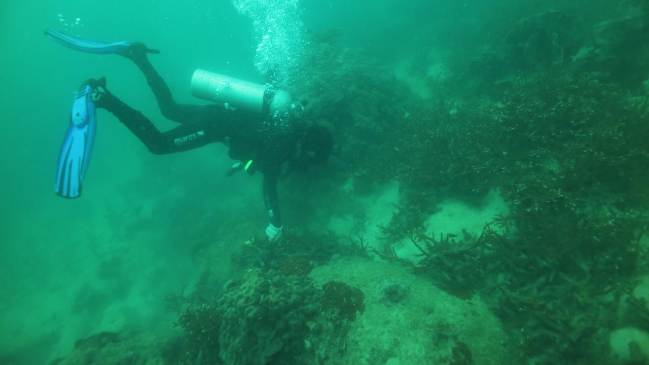 Đảo Ngọc và nỗi buồn“ngập nhựa”