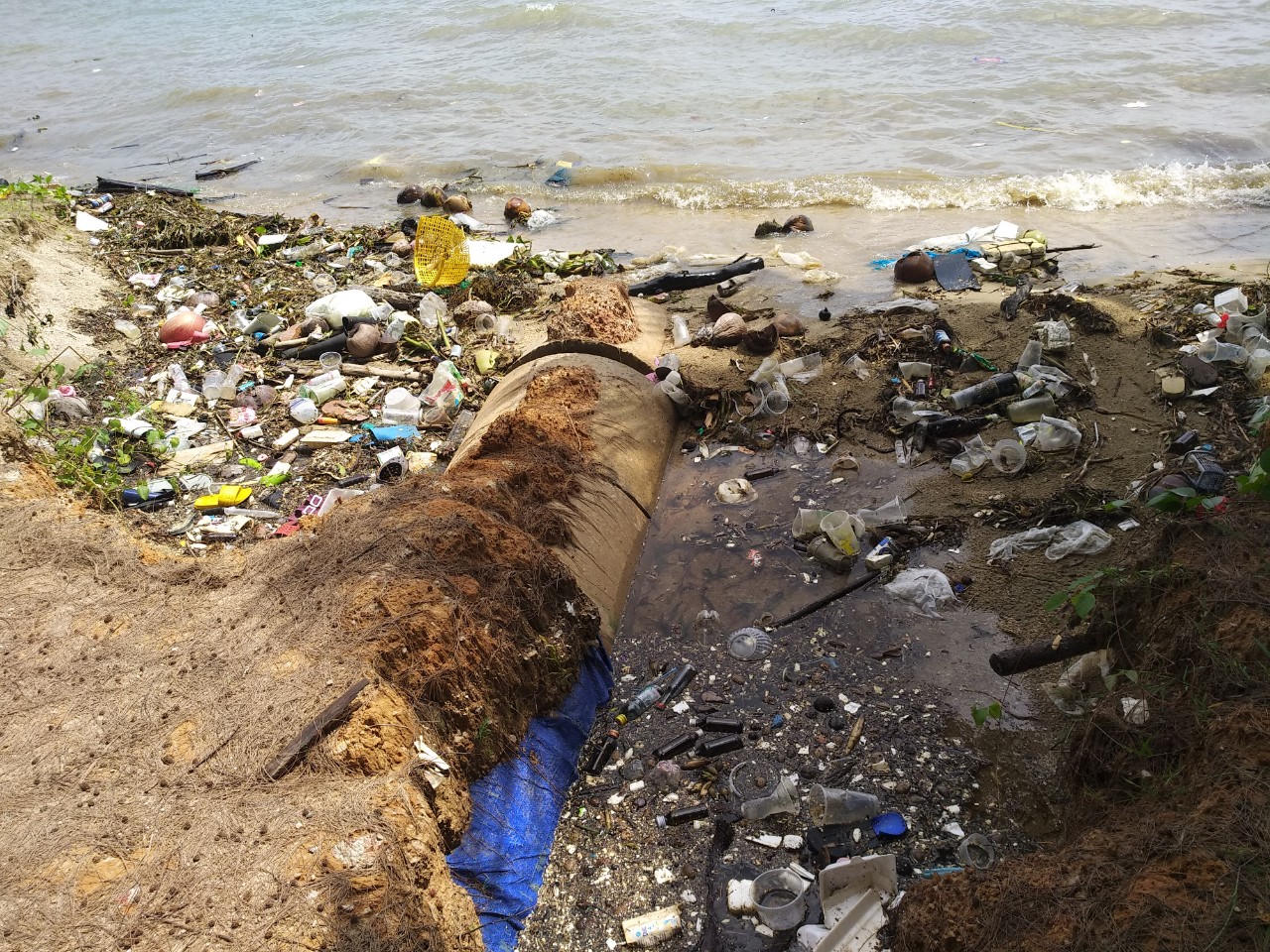  Việt Nam thúc đẩy lộ trình chính sách giải quyết khủng hoảng nhựa đại dương