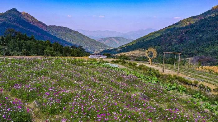 Quảng Ninh và tầm nhìn bền vững: Gìn giữ và phát huy những món quà quý từ thiên nhiên