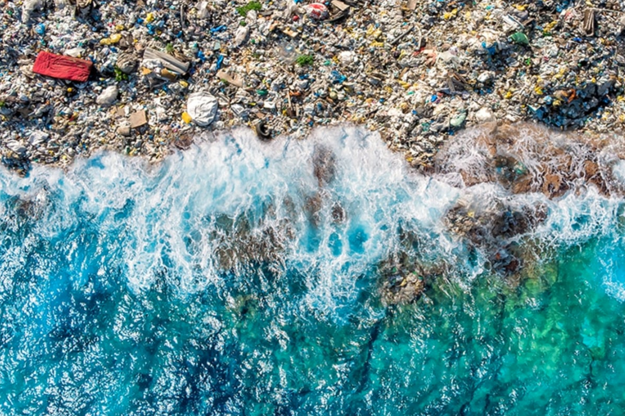 Ngày Môi trường Thế giới 5/6: Đừng để đại dương nhựa nhiều hơn cá