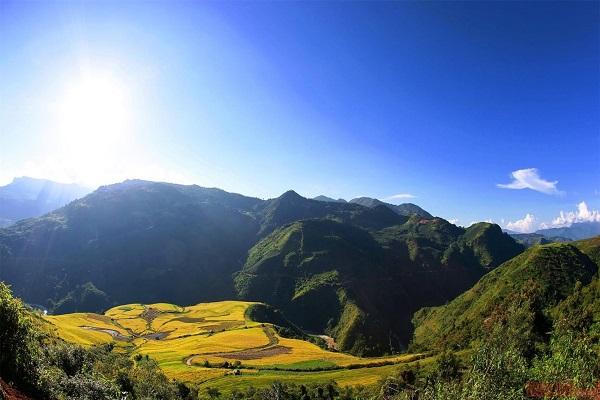 Mùa lúa vàng tuyệt đẹp ở Y Tý