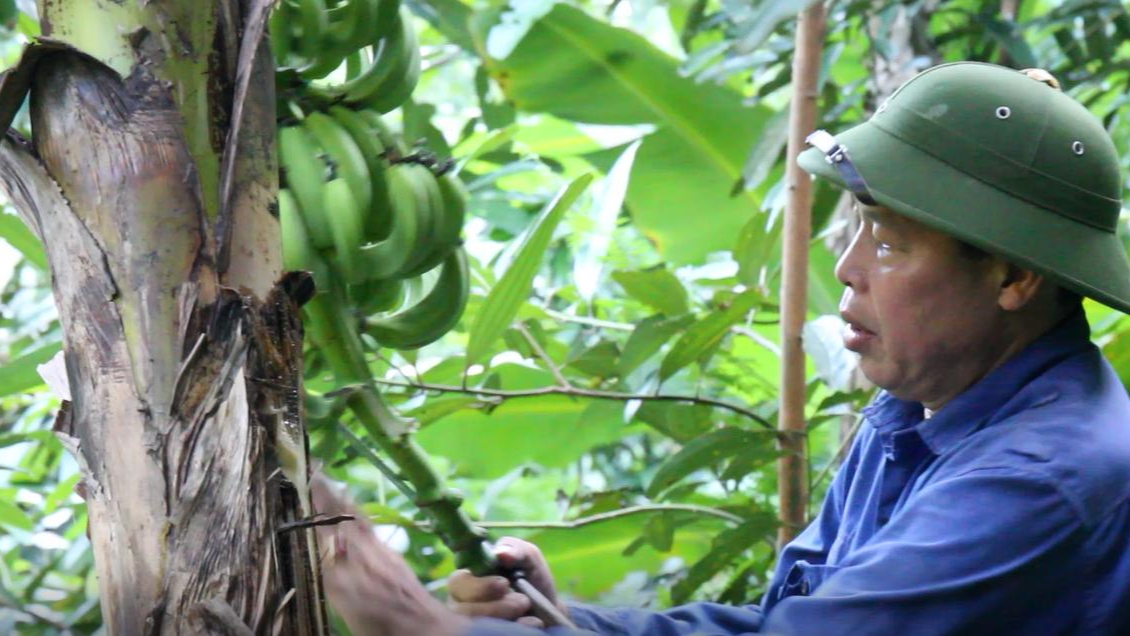 Người cựu chiến binh tâm huyết trọn đời “sống chết với rừng”