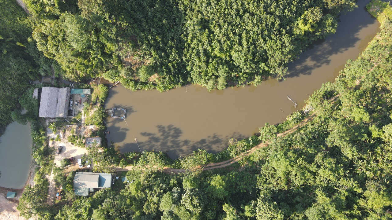 Người cựu chiến binh tâm huyết trọn đời “sống chết với rừng”