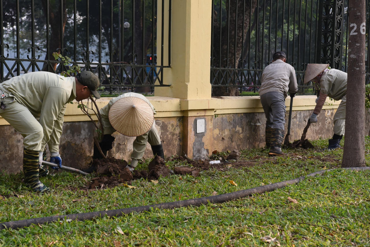 Hà Nội: Mở rào công viên Thống Nhất từ hôm nay (22/12)