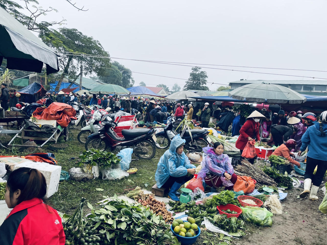 Ấm áp phiên chợ quê ngày Tết