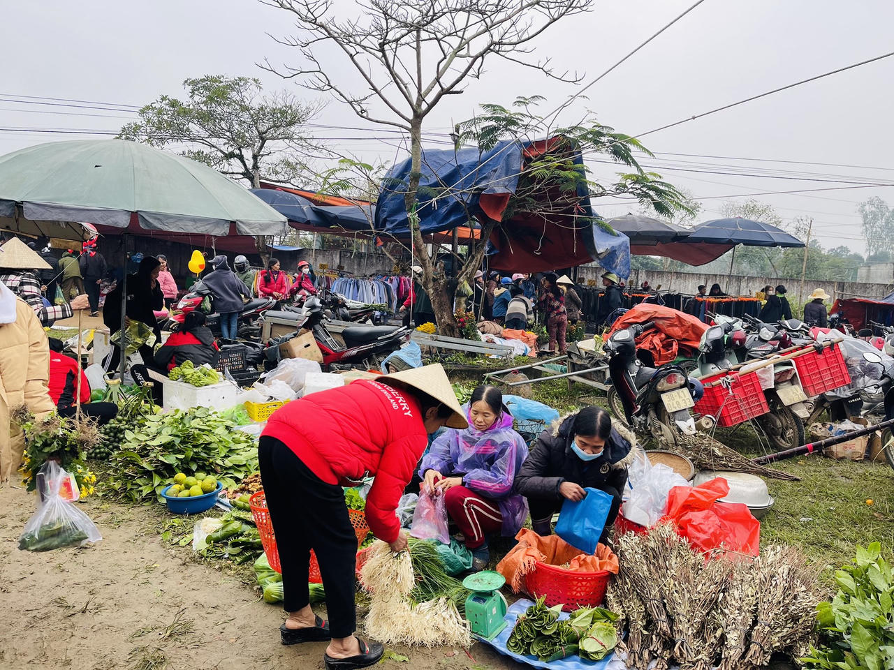 Ấm áp phiên chợ quê ngày Tết