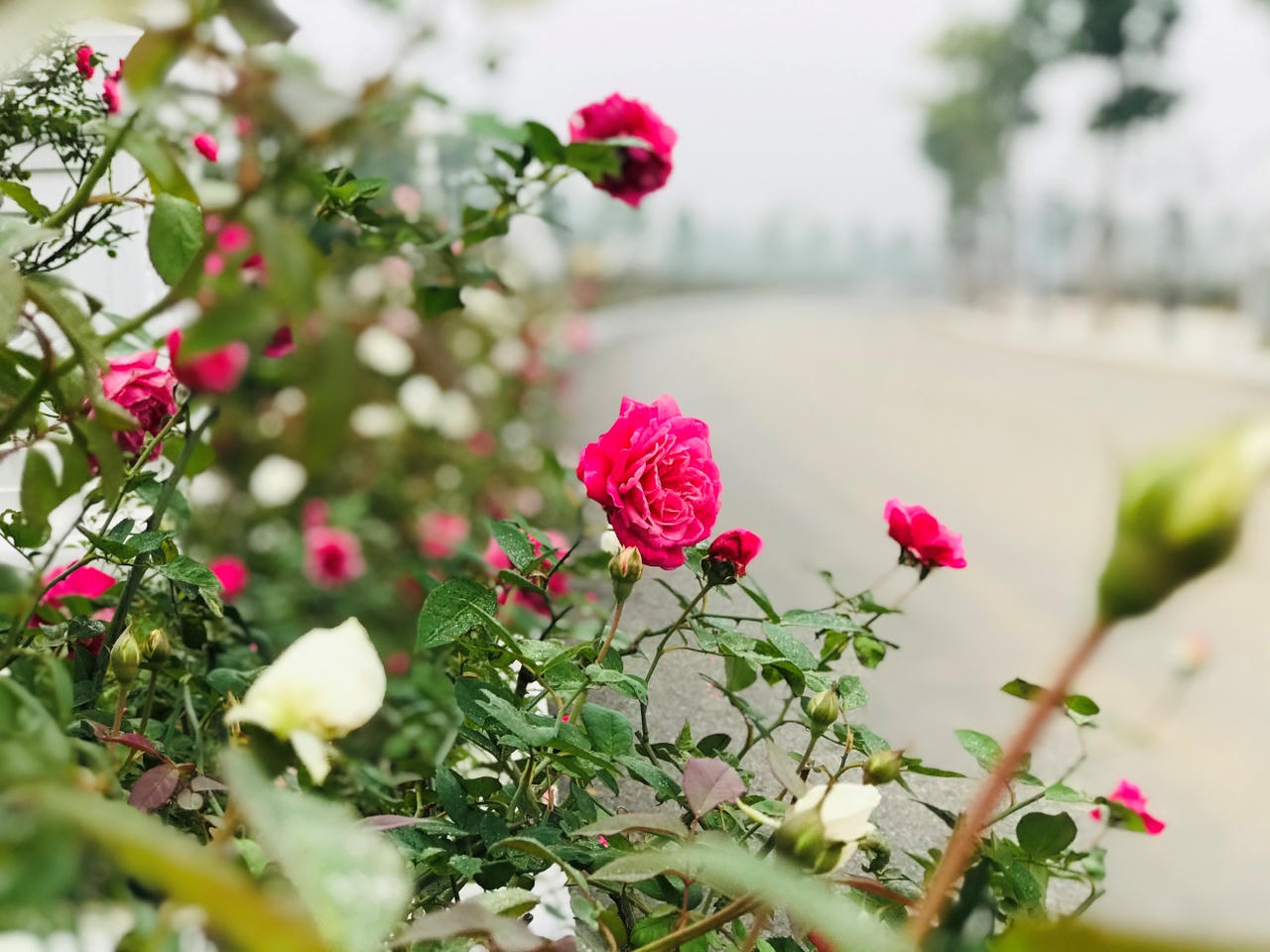 Sức sống mới tại khu đô thị đáng sống bậc nhất Thái Nguyên