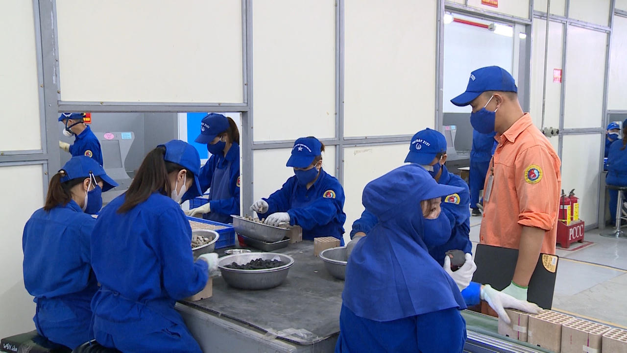 Cảnh báo nạn pháo hoa giả mạo nhãn mác nhà máy Z121 tràn lan trên thị trường dịp cuối năm