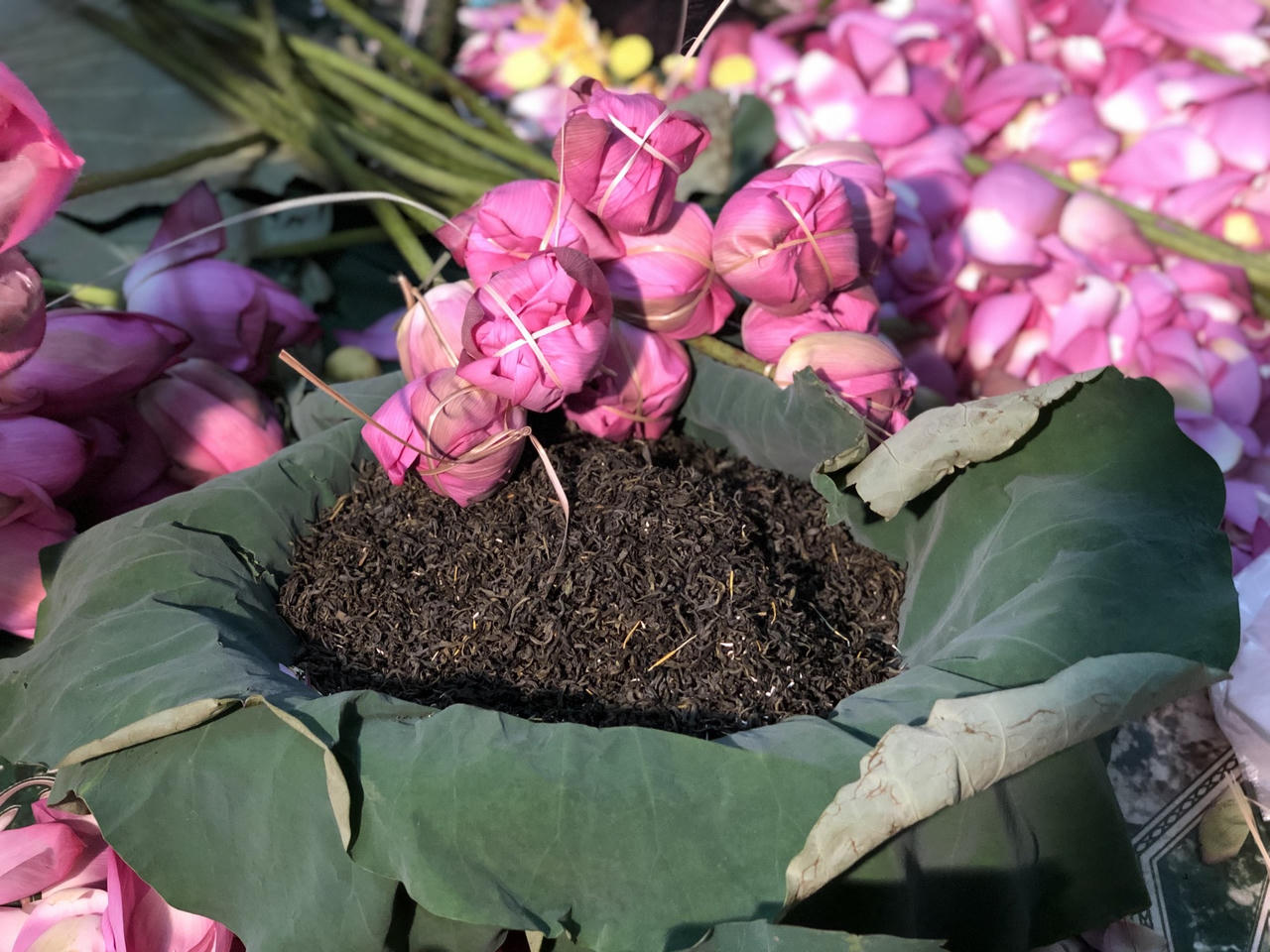 Tôn vinh nghề thủ công truyền thống ướp trà sen Quảng An: Di sản văn hóa phi vật thể quốc gia