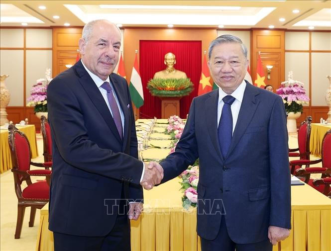 Tổng Bí thư Tô Lâm hội kiến Tổng thống Hungary Sulyok Tamás