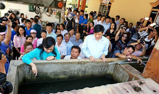 Bộ trưởng Bộ Y tế thả cá phòng dịch Zika và sốt xuất huyết