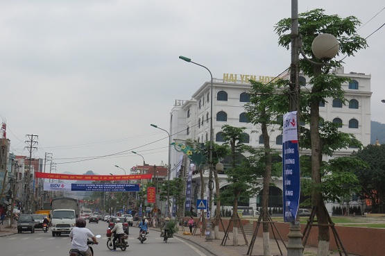 Chi hơn 9 tỷ trồng mới cây xanh đường phố Cẩm Phả 