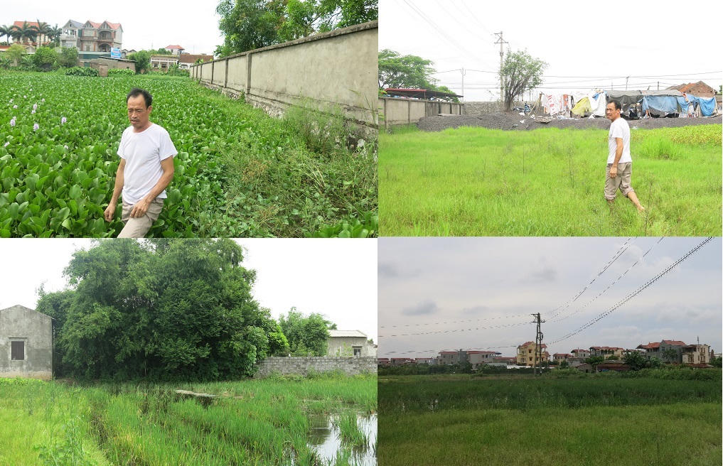 Thanh niên chết bất thường dưới ruộng bèo, thủ phạm vẫn ngoài vòng pháp luật