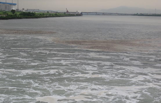 Quảng Ninh: Nhà máy nhiệt điện xả nước làm mát, tôm, cá,...“biến mất”