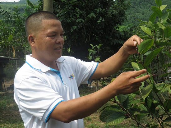 Quảng Ninh: Làm giàu từ việc thuần hoá hoa của rừng