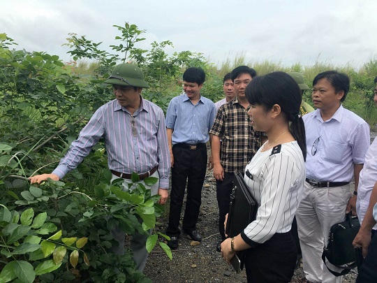 Nữ cán bộ khao khát phủ xanh bãi thải than vùng mỏ