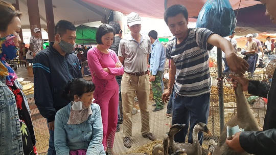 Cần tiếp thêm sức sống cho chợ quê giữa lòng thành phố Cảng 