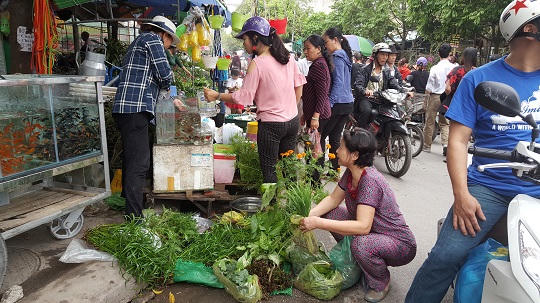 Cần tiếp thêm sức sống cho chợ quê giữa lòng thành phố Cảng 