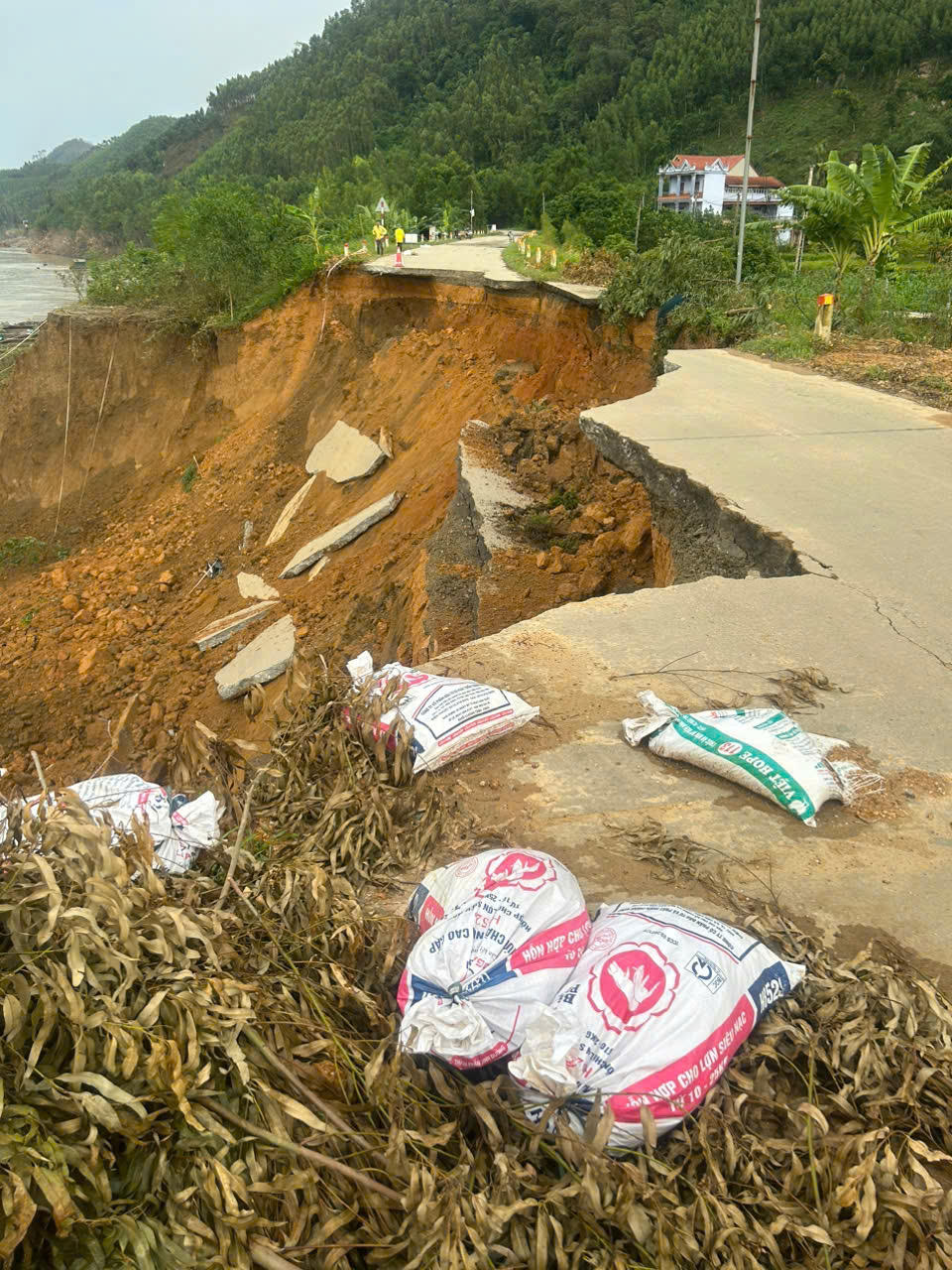 Phú Thọ: Sạt lở trên tuyến đê sông Lô thuộc huyện Đoan Hùng