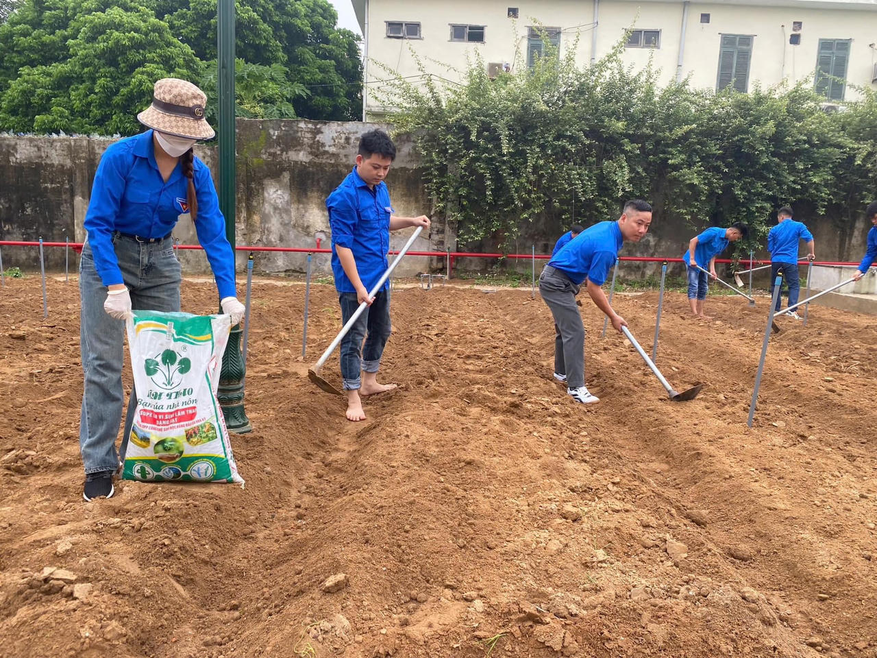 Khi doanh nghiệp sản xuất phân bón 'xắn tay' làm nông nghiệp