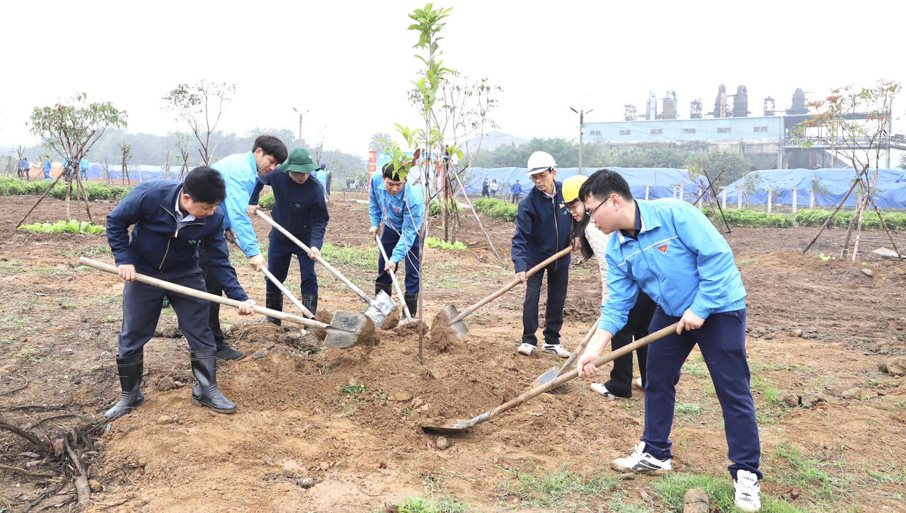 Tết trồng cây tại Supe Lâm Thao 