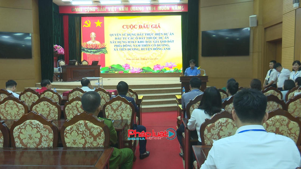 Vụ khởi tố bà Nguyễn Thị Loan: “Kịch bản” phiên đấu giá khu đất tại huyện Đông Anh