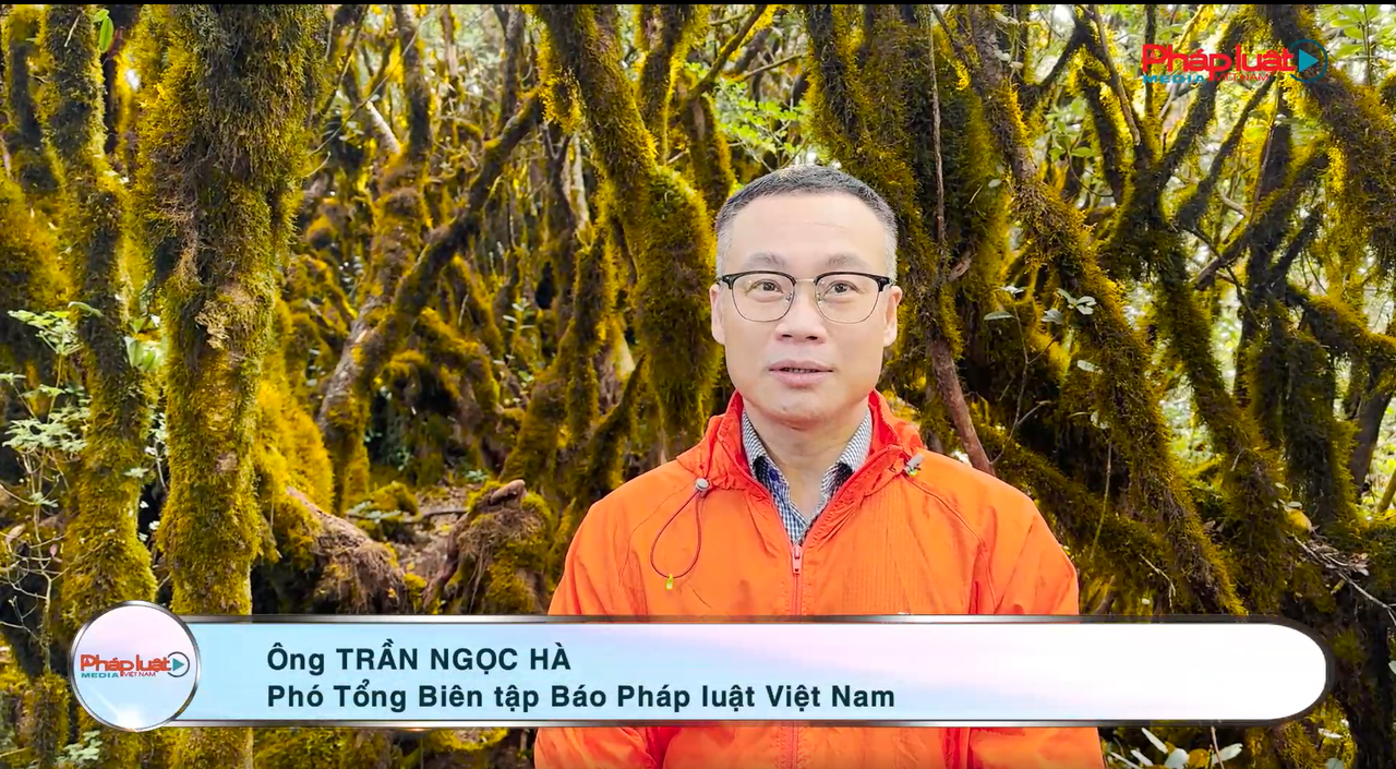  Giải leo núi “Bước chân trên mây” mùa II: Thử thách chinh phục đỉnh Tà Xùa chờ đón các vận động viên